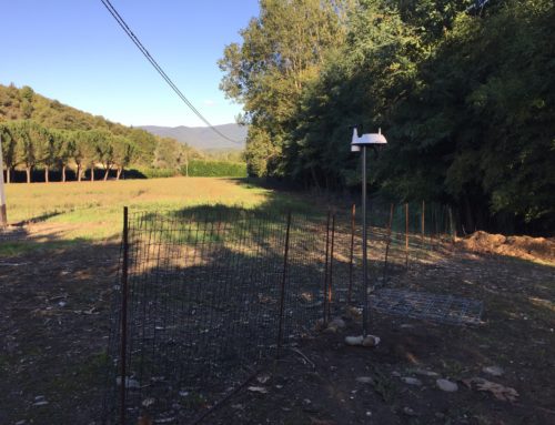 Nuova stazione meteo a Salutio (AR)